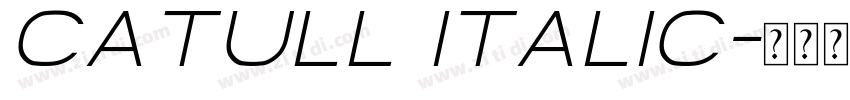 Catull Italic字体转换